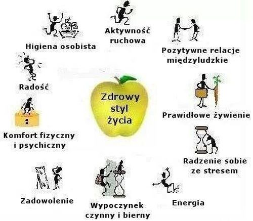 „Trzymaj Formę!” – ogólnopolski program edukacyjny promujący zdrowy styl życia